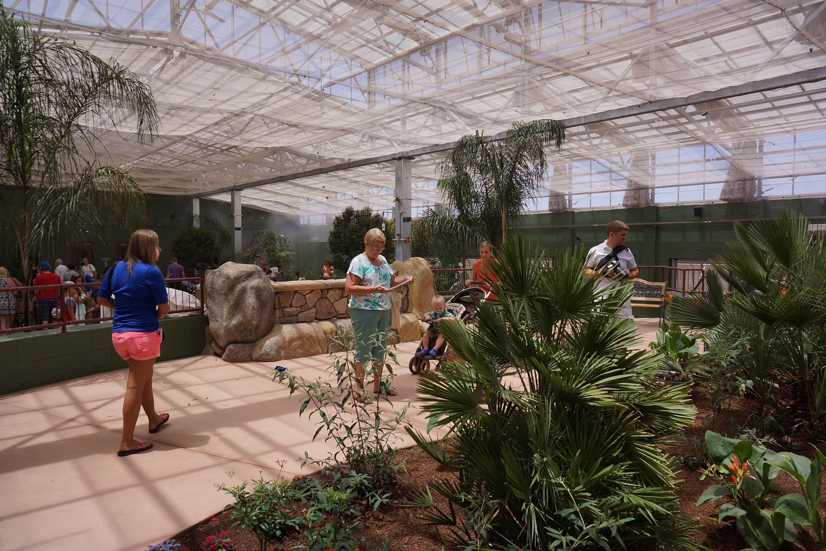 Anne's Odds and Ends Butterfly Wonderland (Scottsdale) Review